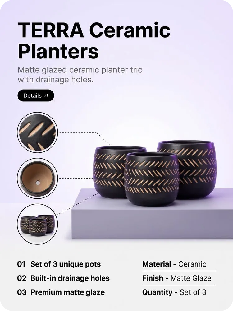 TERRA Ceramic Planter Trio